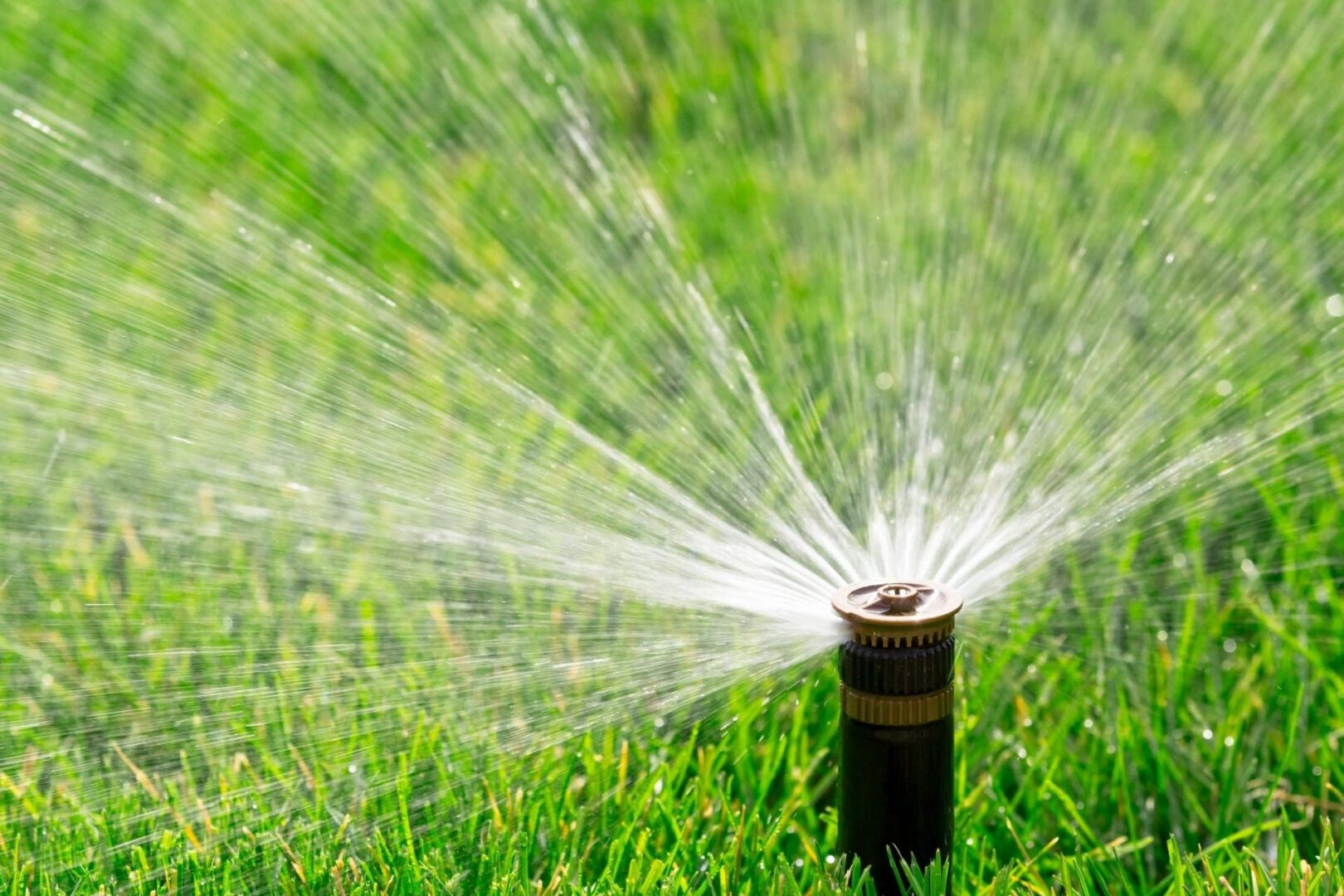 Discounts Sprinklers Inc.