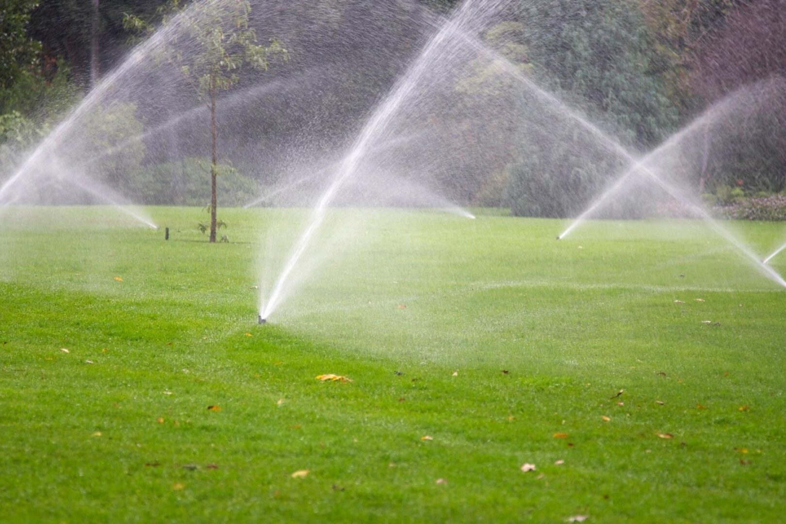 Discounts Sprinklers Inc.